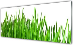 Panel Kuchenny Szum Traw Na Wietrze