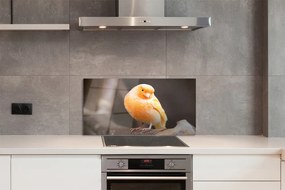 Panel szklany do Kuchni Papuga na Suchej Gałęzi