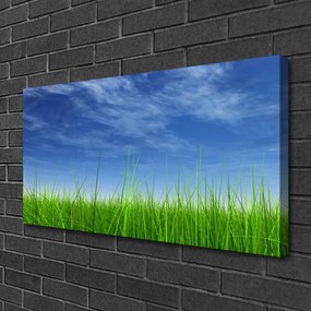 Obraz na płótnie Horyzont nad Zieloną Łąką