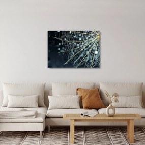 Obraz na szkle - Kwiat z pajęczyną (70x50 cm)