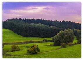 Obraz łąki (70x50 cm)