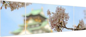 Obraz - Sakura (170x50 cm)