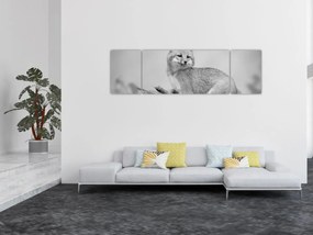 Obraz - Lis szary (170x50 cm)
