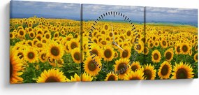 Obraz pola słoneczników (z zegarem) (90x30 cm)