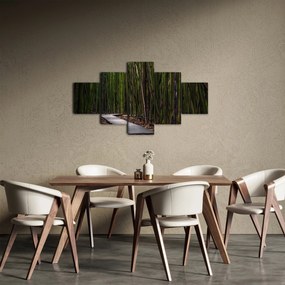 Obraz - Wśród bambusów (125x70 cm)