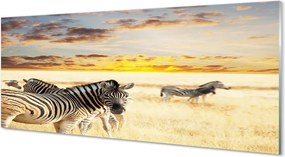 Panel nad Blat Kuchenny Zebry w Złotej Godzinie