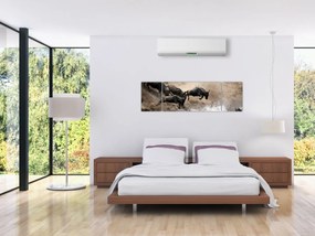 Obraz - Stado antylop gnu (170x50 cm)