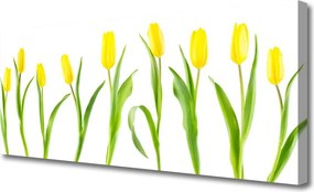 Obraz canvas na ścianę Słoneczne Żółte Tulipany