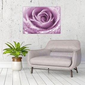 Obraz szczegółu kwiatu róży (70x50 cm)