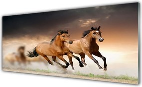 Szkło Ozdobne do Kuchni Dzikie Konie W Galopie