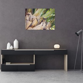 Obraz wiewiórki na drzewie (70x50 cm)