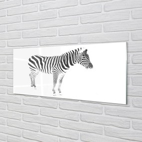 Szklany Panel Malowana zebra