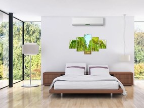 Obraz - Widok na las (125x70 cm)