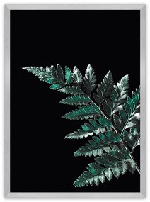 Plakat Dark Fern Leaf