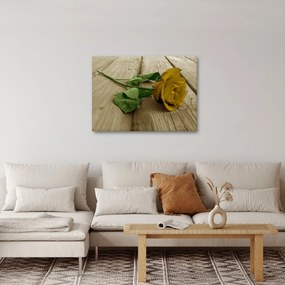 Obraz - Żółte róże w stylu vintage (70x50 cm)