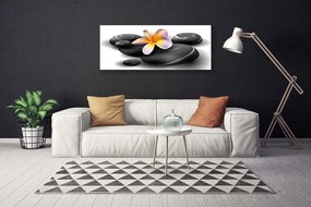 Obraz na płótnie Kwiaty i Kamienie Zen
