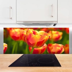 Panel Szklany Barwna Łąka Tulipanowa