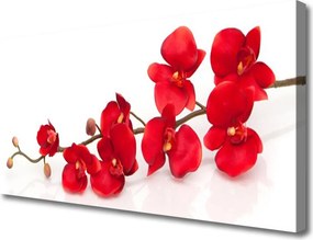 Zdjęcie na płótnie Klasyczny Motyw Botaniczny