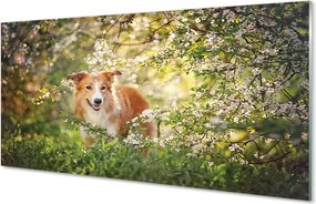 Szkło Ozdobne do Kuchni Pies wśród Leśnych Kwiatów