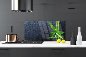 Panel Szklany do Kuchni Egzotyczny Pęd Bambusa