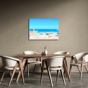 Obraz - Martwa natura z muszelkami (70x50 cm)