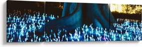 Obraz - Magiczne drzewo (170x50 cm)