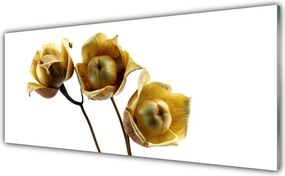 Panel Szklany do Kuchni Stylowa Flora Ścienna