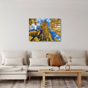 Obraz na szkle - Aspen (70x50 cm)
