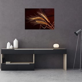 Obraz na szkle - Fragment kłosa żyta (70x50 cm)