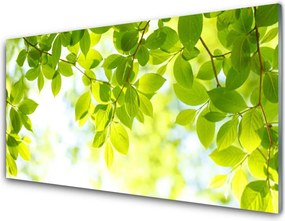 Szkło do Kuchni na Ścianę Świeże Zielone Liście