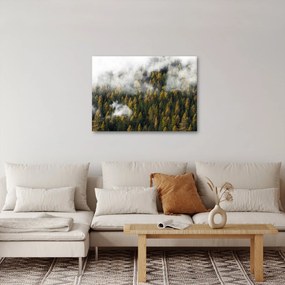 Obraz lasu w chmurach (70x50 cm)