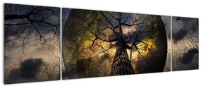Obraz - Tajemnicze niebo (170x50 cm)