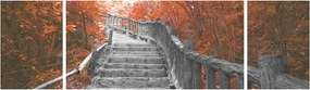 Obraz - Schody w naturze, pomarańczowy (170x50 cm)