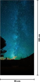 Fototapeta na drzwi - Nocne niebo z gwiazdami (95x205cm)