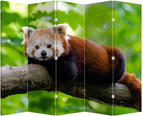 Parawan - Panda czerwona (210x170 cm)