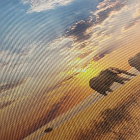 Obraz - Słonie wędrujące po sawannie (170x50 cm)
