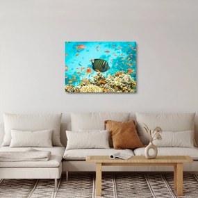 Obraz na szkle podwodnego świata (70x50 cm)