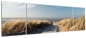 Obraz - Piaszczysta plaża na wyspie Langeoog, Niemcy (170x50 cm)