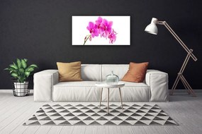 Obraz Canvas Storczyk Kwiat Orchidea