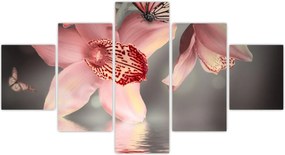 Obraz - Kwiaty i motyl (125x70 cm)
