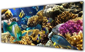 Panel Szklany do Kuchni Kolorowe Życie Rafy Koralowej