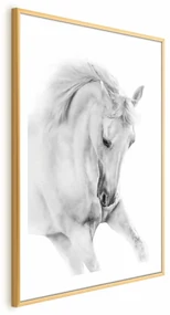 Plakat Biały koń 40x60 cm z ramą złotą z marginesem ARTGEIST B