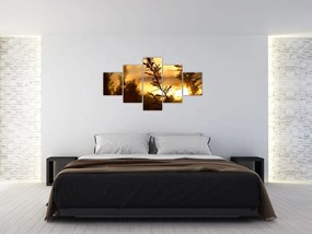 Obraz - słońce zachodzące za drzewami (125x70 cm)