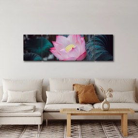 Obraz różowego kwiatu (170x50 cm)