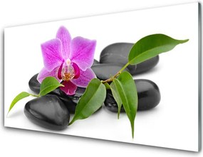 Panel Szklany Orchidea W Nowoczesnym Wydaniu