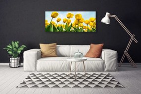 Obraz canvas Pole Tęczowych Tulipanów