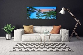 Obraz na płótnie Majestatyczne Drzewa w Lesie