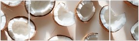 Obraz - Kokosy (170x50 cm)