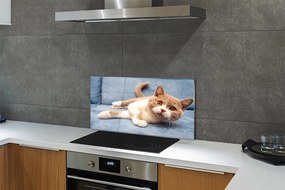 Panel szklany do Kuchni Spokojny Odpoczynek Kota