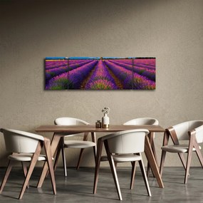 Obraz - Pole lawendy (170x50 cm)